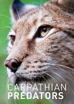 Watch Carpathian Predators 0123movies