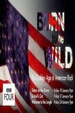 Watch Born to Be Wild: The Golden Age of American Rock 0123movies