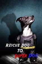 Watch Rescue Dog to Super Dog 0123movies