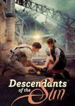 Watch Descendants of the Sun 0123movies
