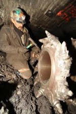 Watch Coal 0123movies