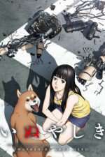 Watch Inuyashiki 0123movies