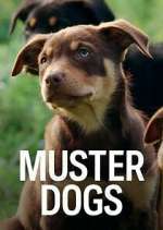 Watch Muster Dogs 0123movies