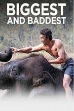 Watch Biggest and Baddest 0123movies