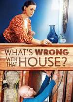 Watch What's Wrong With That House? 0123movies