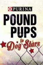 Watch Purina Pound Pups To Dog Stars 0123movies