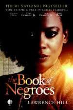 Watch The Book of Negroes 0123movies