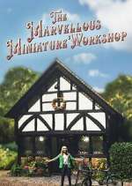 Watch The Marvellous Miniature Workshop 0123movies