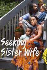 Watch Seeking Sister Wife 0123movies