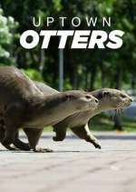 Watch Uptown Otters 0123movies
