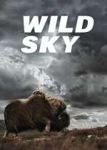 Watch Wild Sky 0123movies