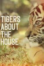 Watch Tigers About the House 0123movies