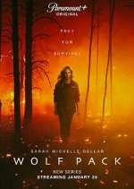 Watch Wolf Pack 0123movies