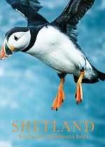 Watch Shetland: Scotland's Wondrous Isles 0123movies