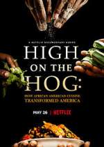 Watch High on the Hog: How African American Cuisine Transformed America 0123movies