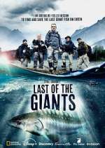 Watch Last of the Giants: Wild Fish 0123movies
