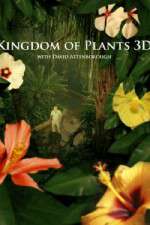 Watch Kingdom of Plants 3D 0123movies