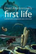Watch David Attenborough's First Life 0123movies