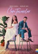 Watch Cam Tavanlar 0123movies
