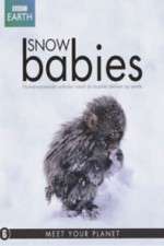 Watch Snow Babies 0123movies