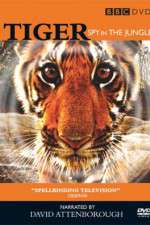 Watch Tiger: Spy in the Jungle 0123movies