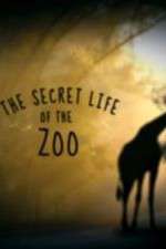Watch The Secret Life of the Zoo 0123movies