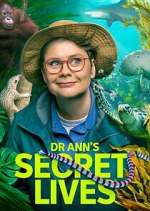 Watch Dr Ann\'s Secret Lives 0123movies